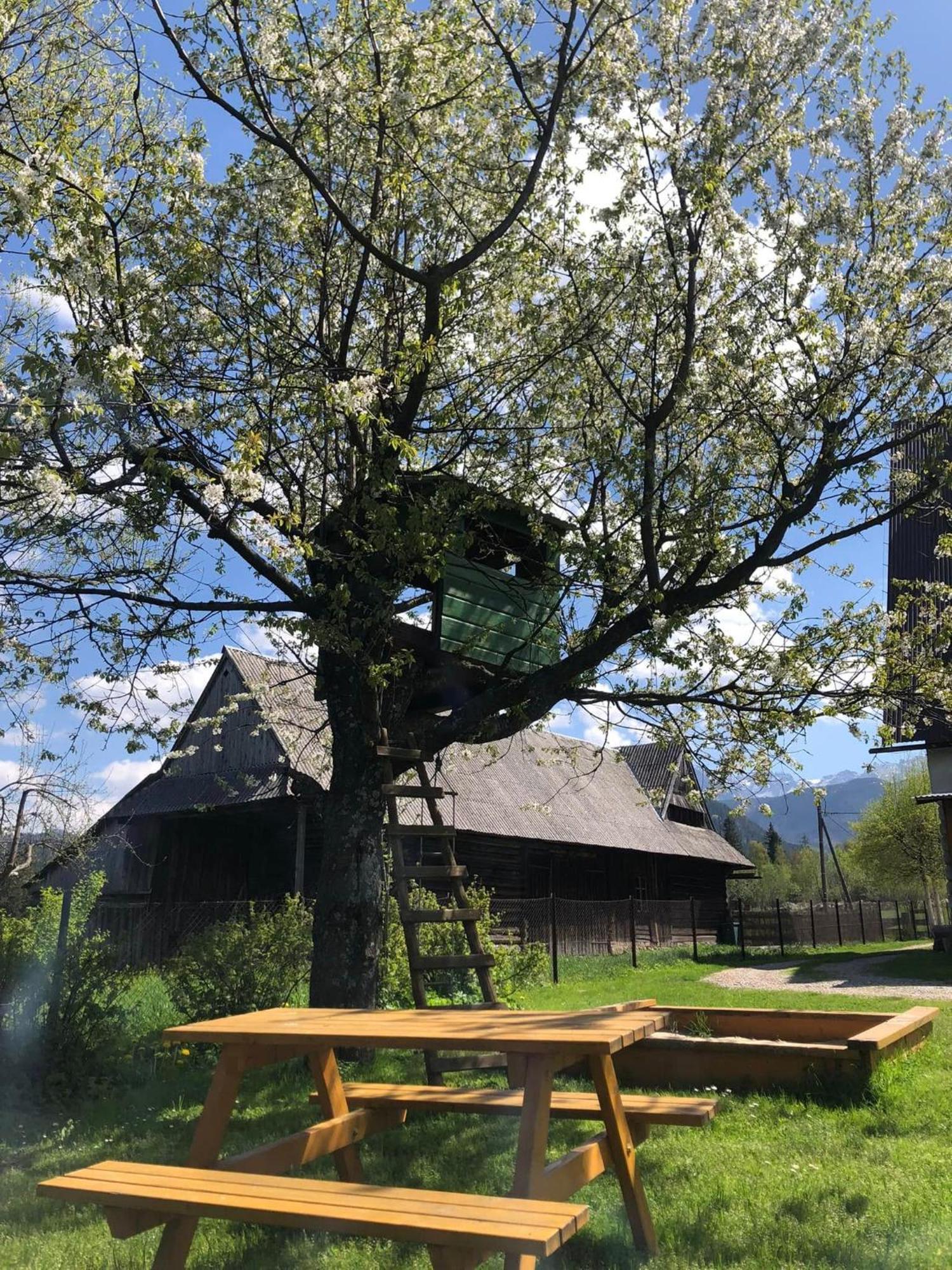 Pensjonat U Doroty, Zakopane - Twoje Miejsce W Gorach Exterior foto